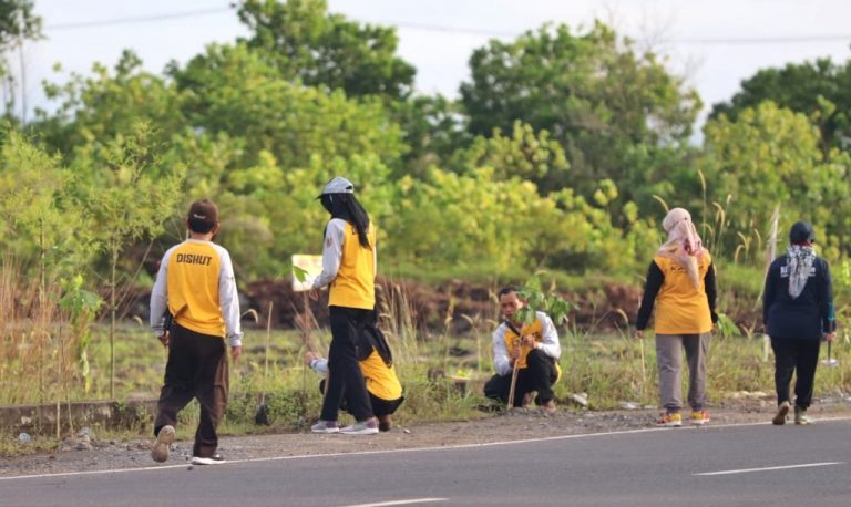 Dishut Kalsel Dan Pt Pamapersada Nusantara Distrik Bbso Bersinergi